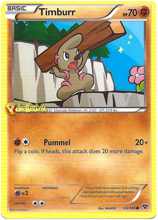 XY XY 065  Timburr