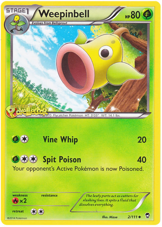 XY Furious Fists 002  Weepinbell