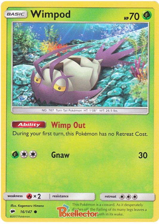 Sun and Moon Burning Shadows 016  Wimpod